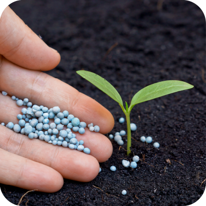 Agro, Seeds & Fertilizers