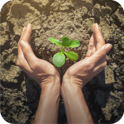 Agro, Seeds & Fertilizers
